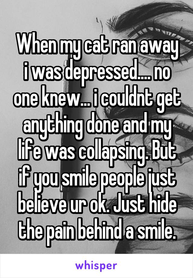 When my cat ran away i was depressed.... no one knew... i couldnt get anything done and my life was collapsing. But if you smile people just believe ur ok. Just hide the pain behind a smile.