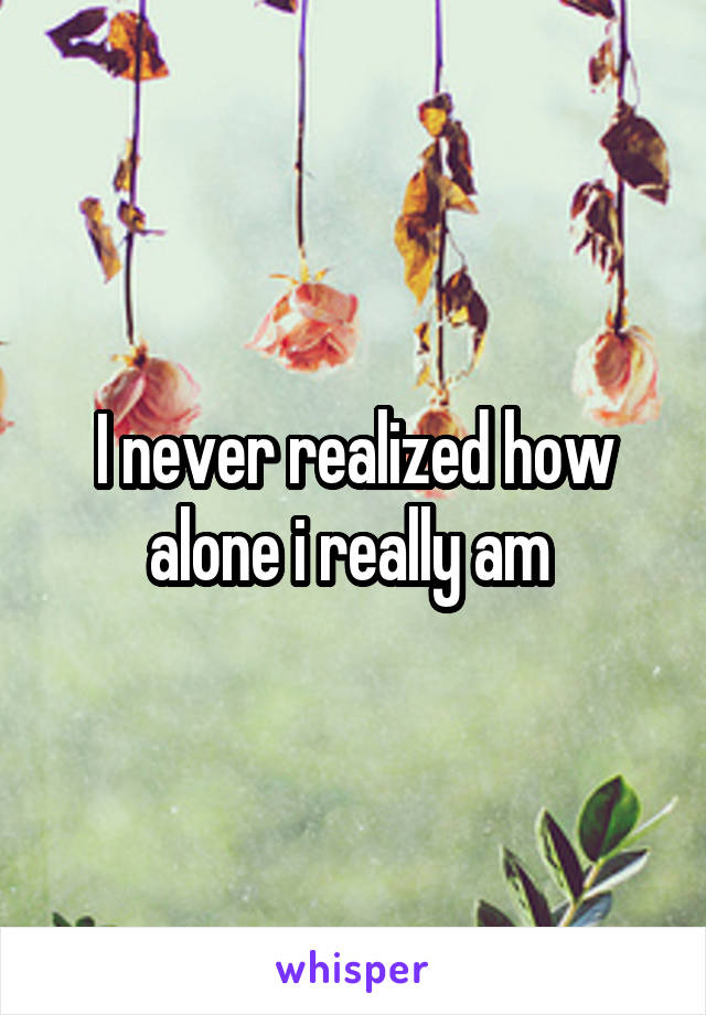 I never realized how alone i really am 