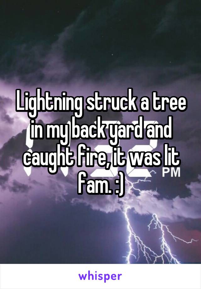 Lightning struck a tree in my back yard and caught fire, it was lit fam. :)