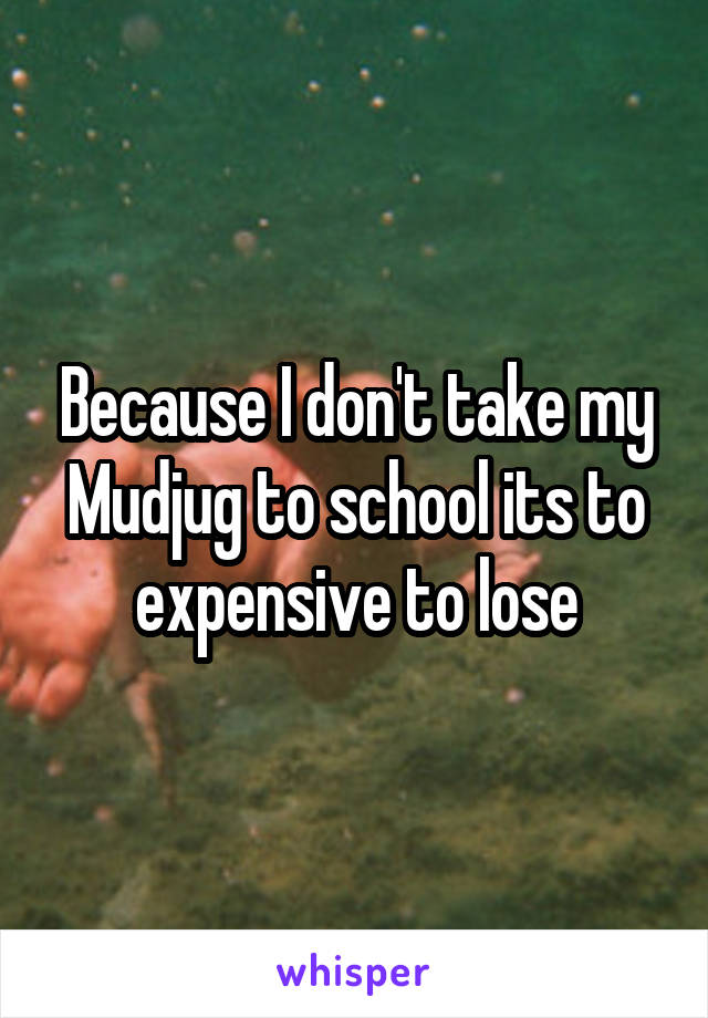 Because I don't take my Mudjug to school its to expensive to lose