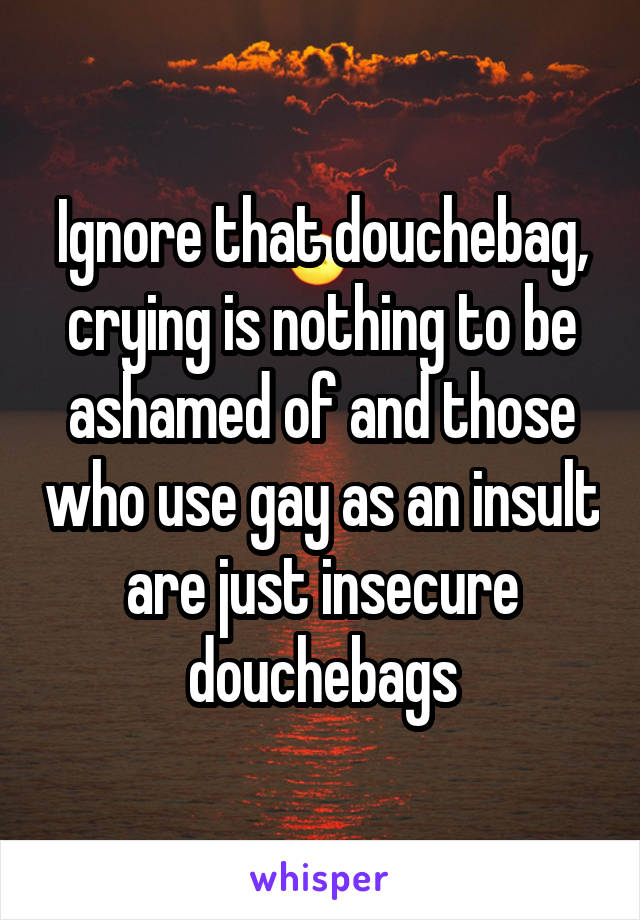 Ignore that douchebag, crying is nothing to be ashamed of and those who use gay as an insult are just insecure douchebags