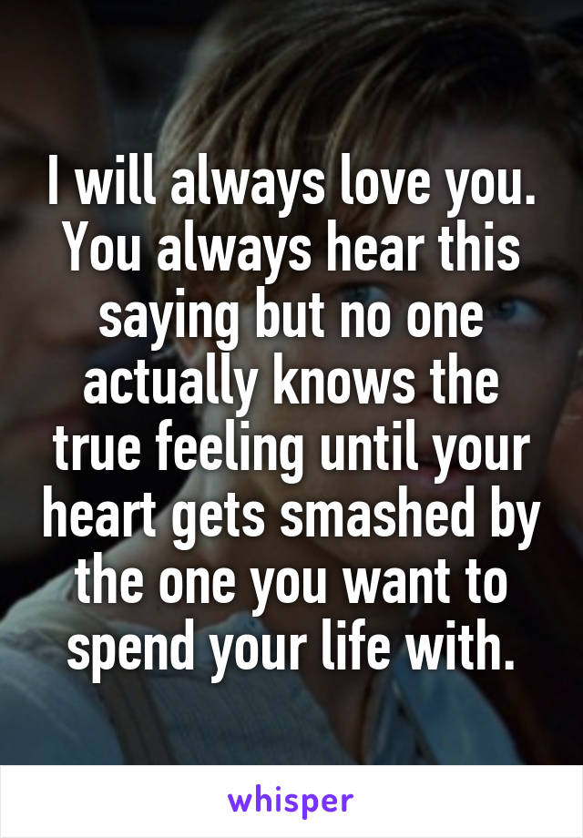 I will always love you. You always hear this saying but no one actually knows the true feeling until your heart gets smashed by the one you want to spend your life with.