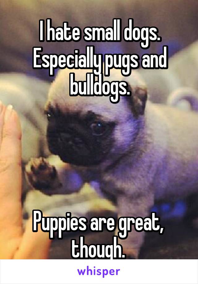 I hate small dogs. Especially pugs and bulldogs.




Puppies are great,  though. 