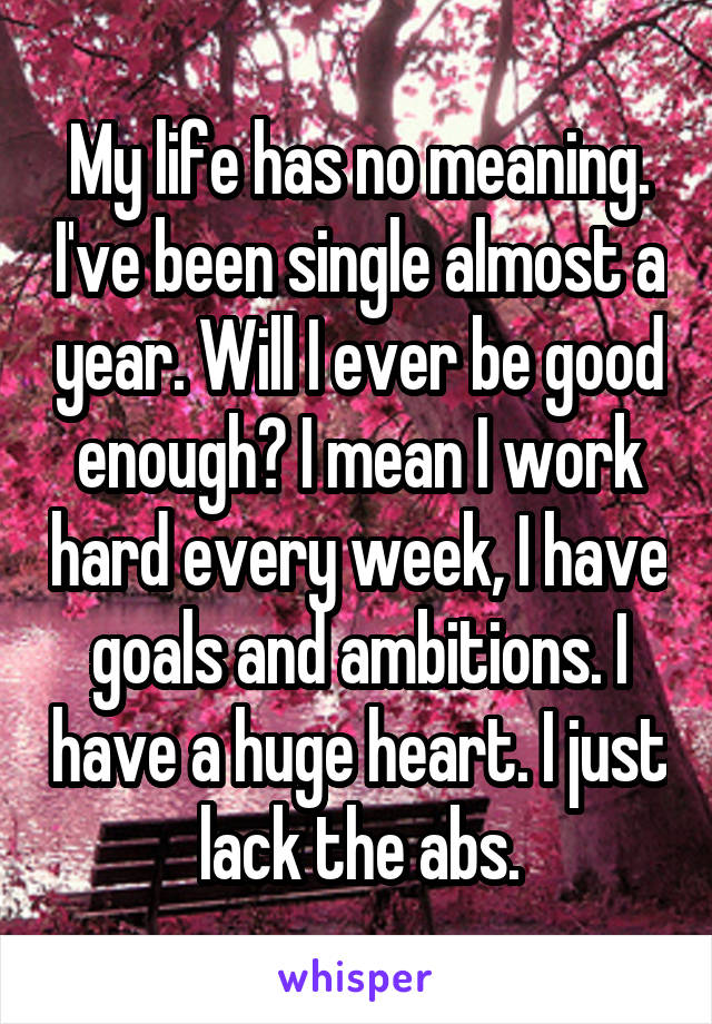 My life has no meaning. I've been single almost a year. Will I ever be good enough? I mean I work hard every week, I have goals and ambitions. I have a huge heart. I just lack the abs.