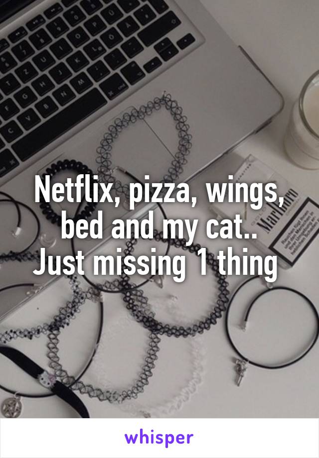 Netflix, pizza, wings, bed and my cat..
Just missing 1 thing 