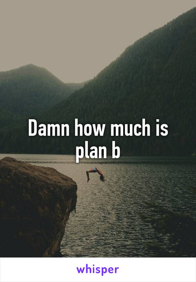 Damn how much is plan b