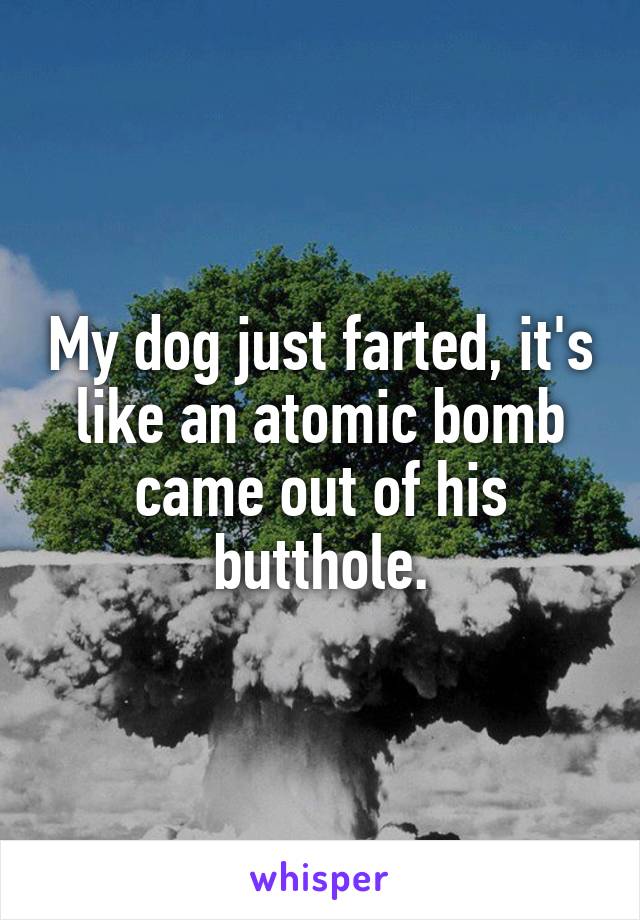 My dog just farted, it's like an atomic bomb came out of his butthole.