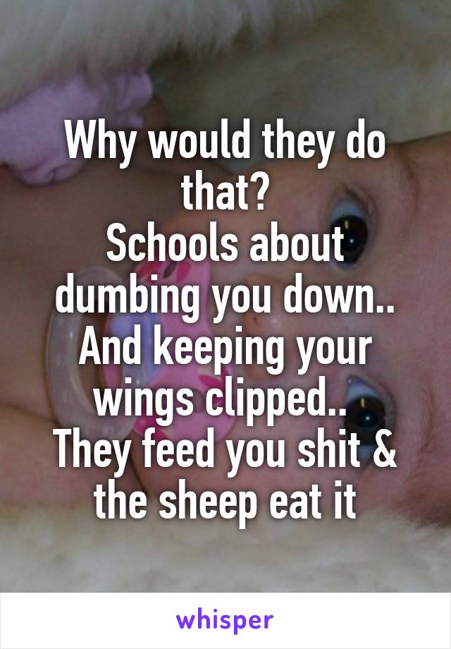 Why would they do that?
Schools about dumbing you down.. And keeping your wings clipped.. 
They feed you shit & the sheep eat it