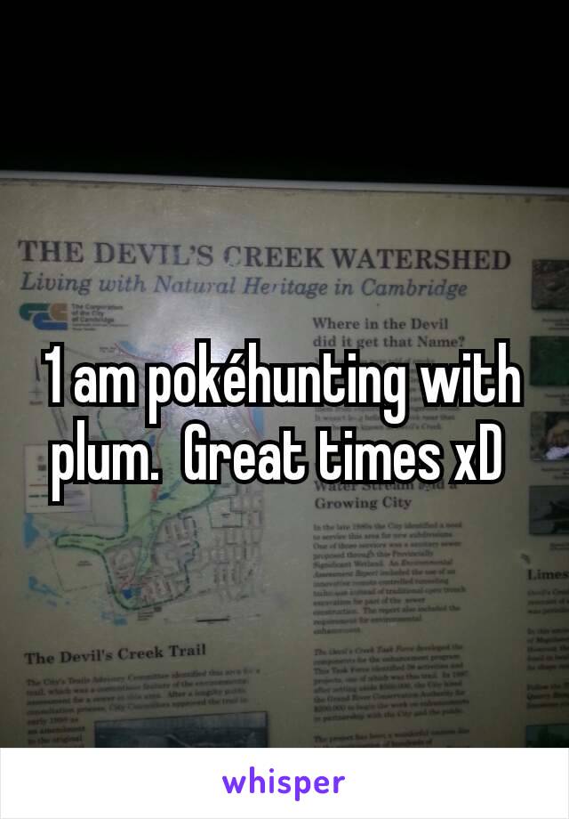 1 am pokéhunting with plum.  Great times xD 