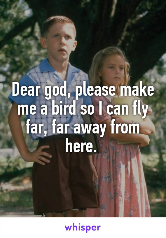 Dear god, please make me a bird so I can fly far, far away from here. 