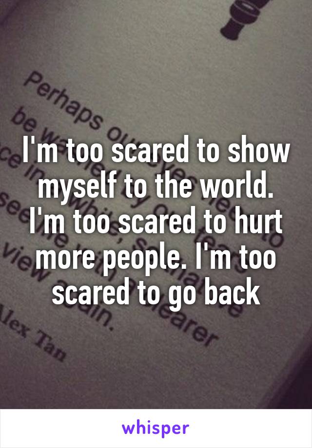 I'm too scared to show myself to the world. I'm too scared to hurt more people. I'm too scared to go back