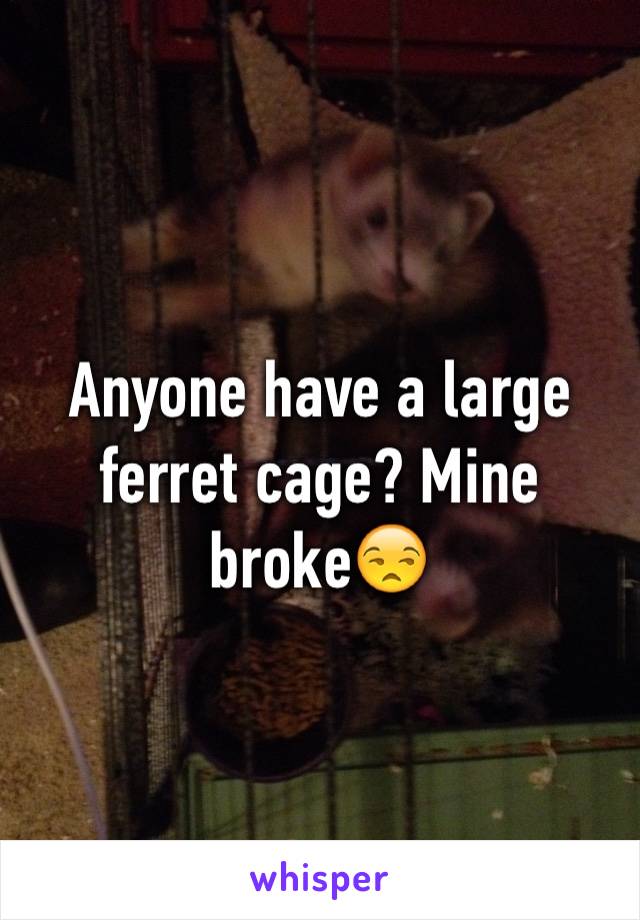 Anyone have a large ferret cage? Mine broke😒