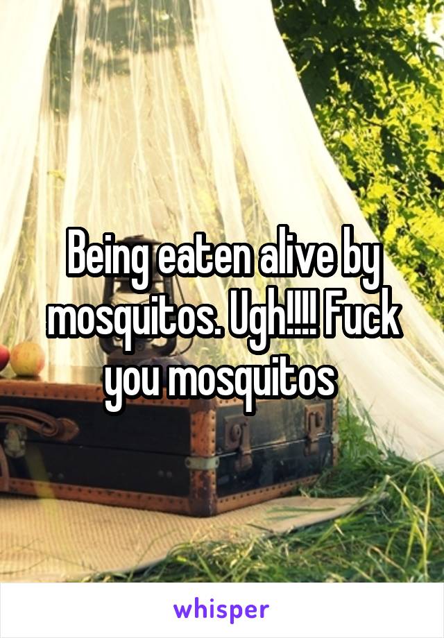 Being eaten alive by mosquitos. Ugh!!!! Fuck you mosquitos 