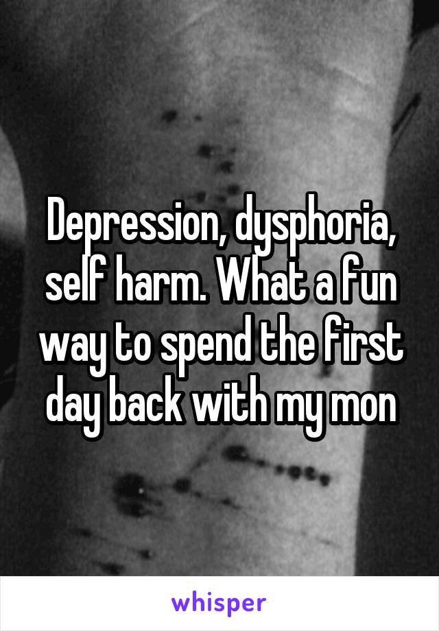 Depression, dysphoria, self harm. What a fun way to spend the first day back with my mon