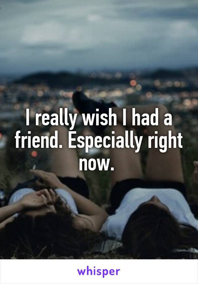 I really wish I had a friend. Especially right now. 