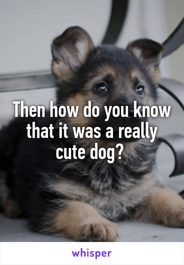 Then how do you know that it was a really cute dog? 