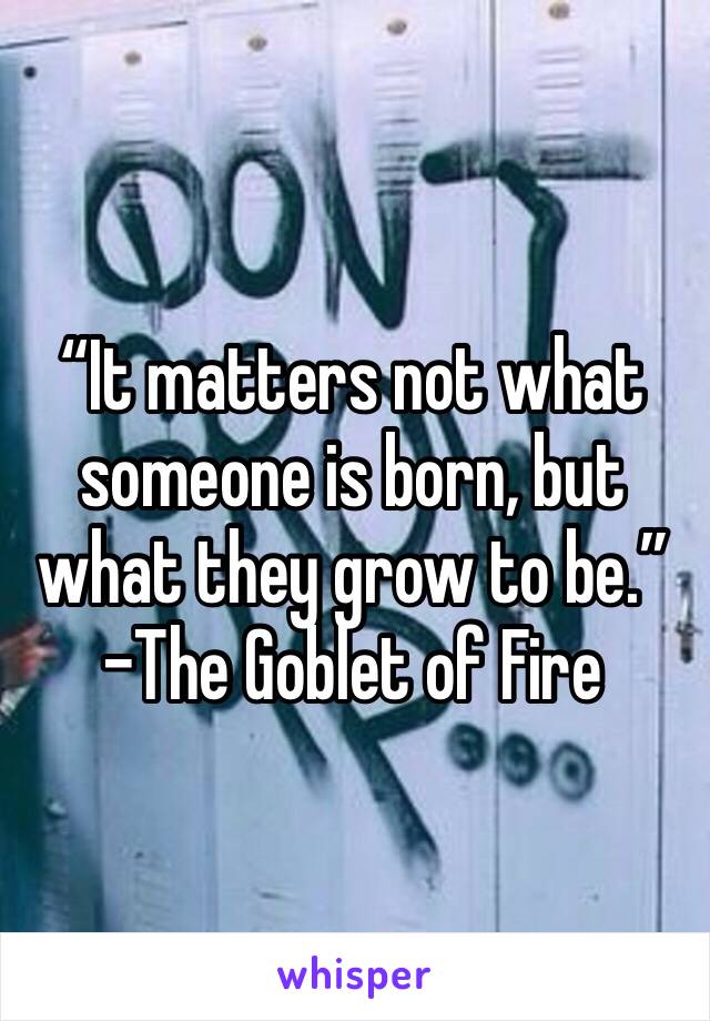 “It matters not what someone is born, but what they grow to be.” –The Goblet of Fire