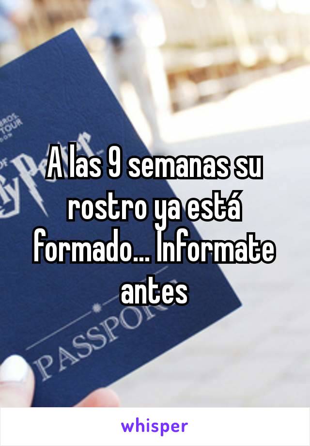 A las 9 semanas su rostro ya está formado... Informate antes