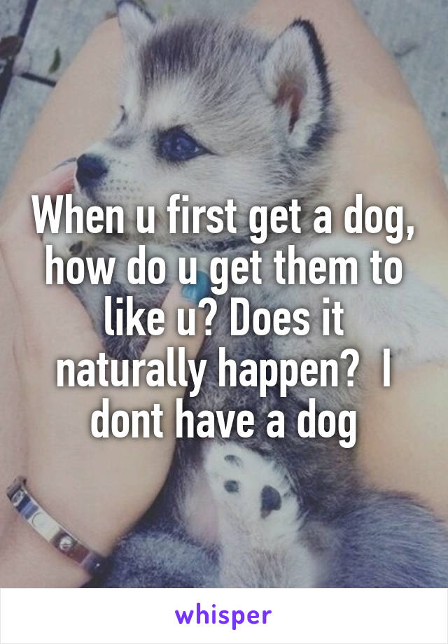 When u first get a dog, how do u get them to like u? Does it naturally happen?  I dont have a dog