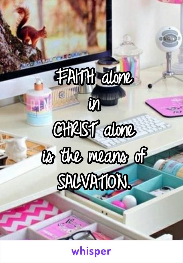 FAITH alone
in
CHRIST alone
is the means of SALVATION.