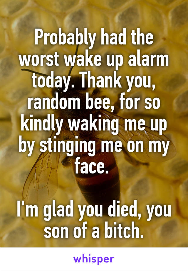 Probably had the worst wake up alarm today. Thank you, random bee, for so kindly waking me up by stinging me on my face. 

I'm glad you died, you son of a bitch.