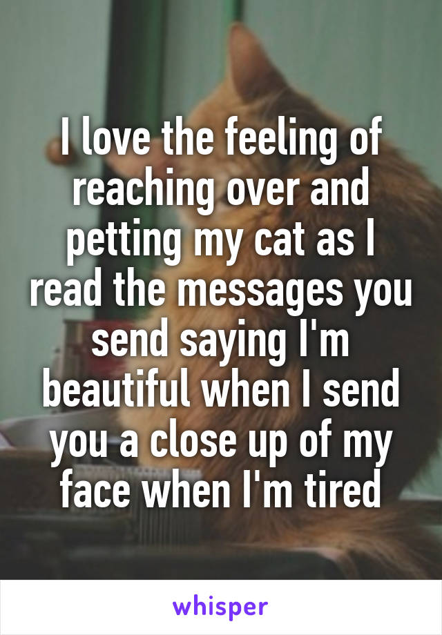 I love the feeling of reaching over and petting my cat as I read the messages you send saying I'm beautiful when I send you a close up of my face when I'm tired