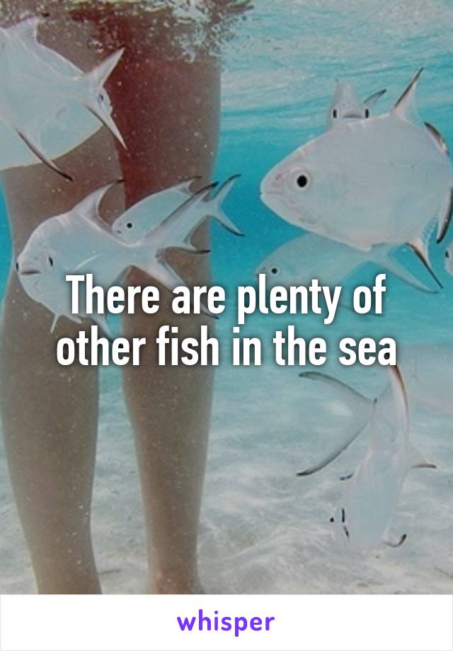 There are plenty of other fish in the sea