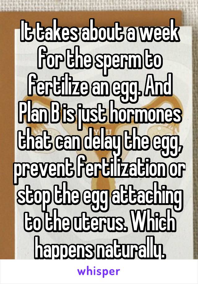 It takes about a week for the sperm to fertilize an egg. And Plan B is just hormones that can delay the egg, prevent fertilization or stop the egg attaching to the uterus. Which happens naturally.