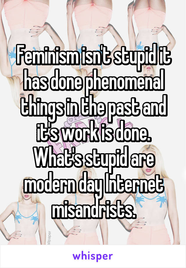 Feminism isn't stupid it has done phenomenal things in the past and it's work is done. What's stupid are modern day Internet misandrists.