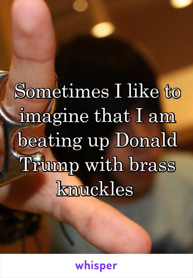 Sometimes I like to imagine that I am beating up Donald Trump with brass knuckles 