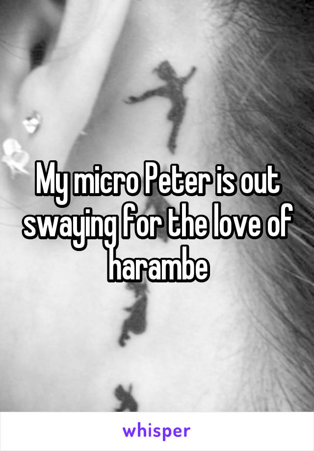 My micro Peter is out swaying for the love of harambe