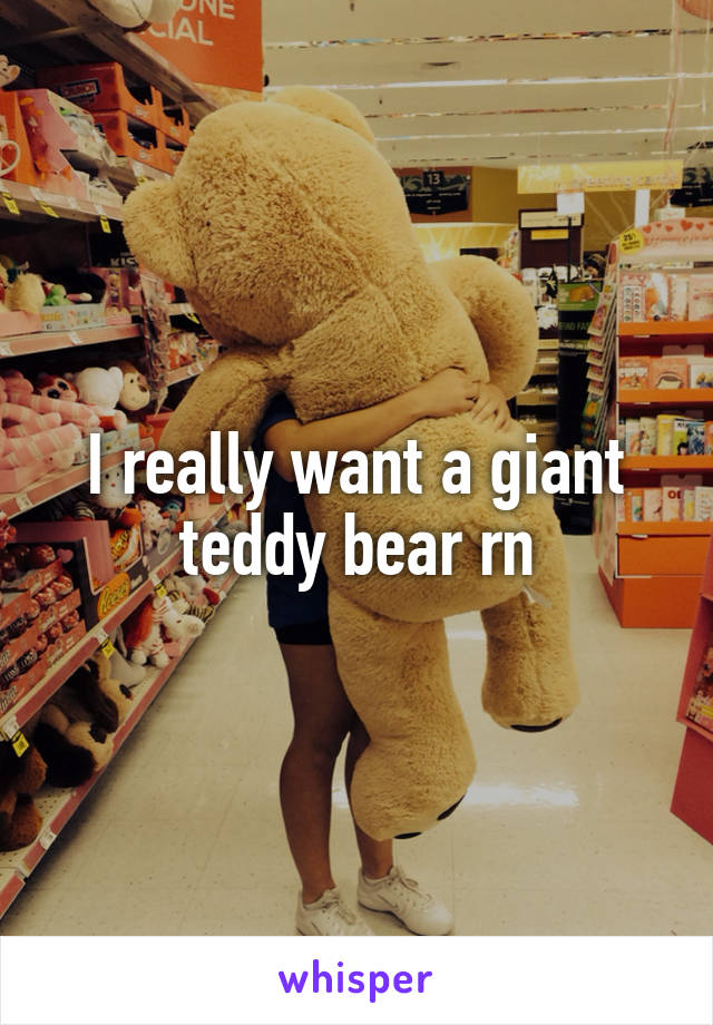 I really want a giant teddy bear rn