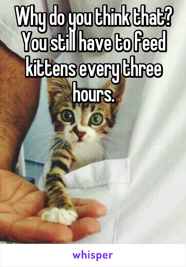 Why do you think that? You still have to feed kittens every three hours.





