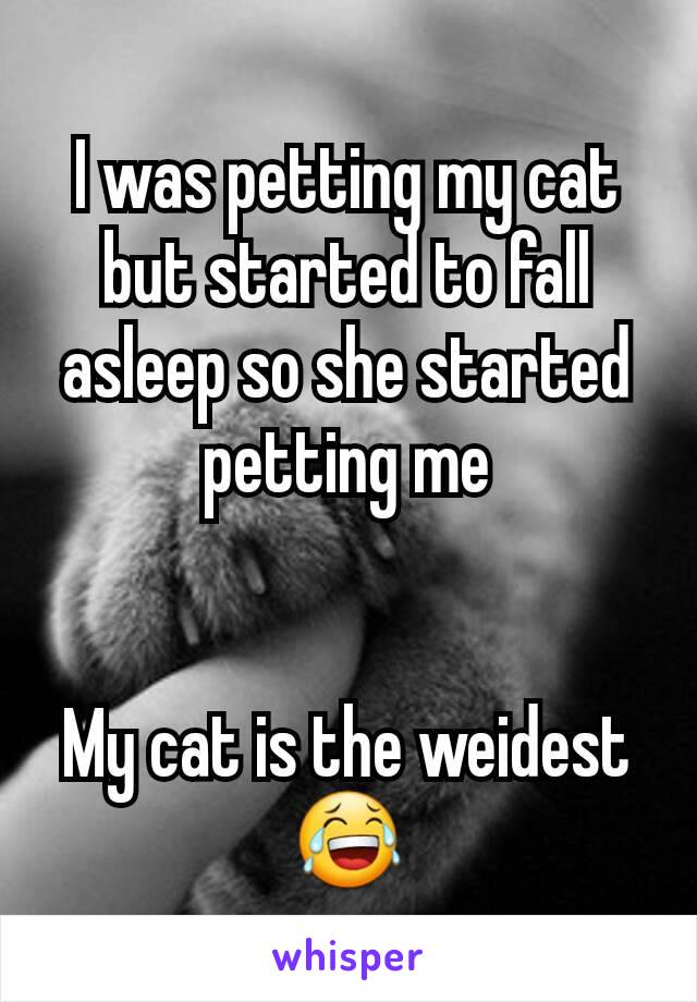 I was petting my cat but started to fall asleep so she started petting me


My cat is the weidest
😂