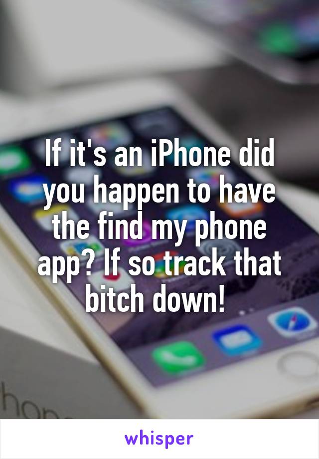 If it's an iPhone did you happen to have the find my phone app? If so track that bitch down! 