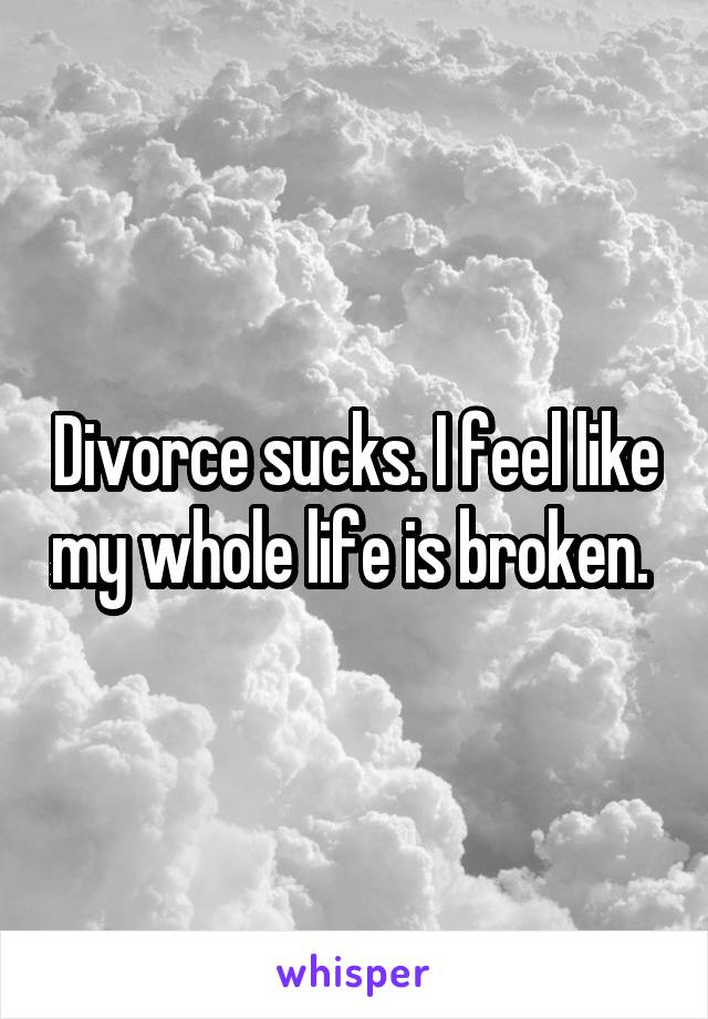 Divorce sucks. I feel like my whole life is broken. 