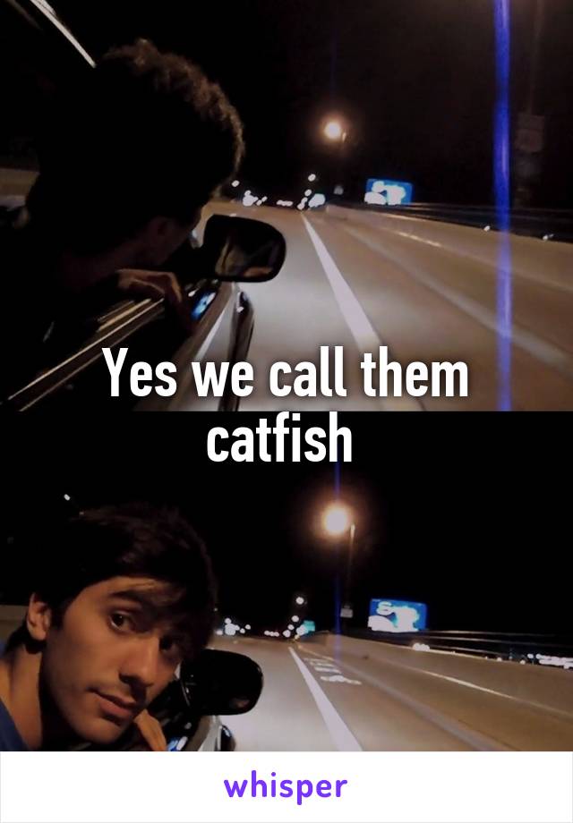 Yes we call them catfish 