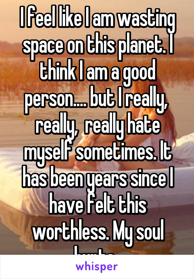 I feel like I am wasting space on this planet. I think I am a good person.... but I really,  really,  really hate myself sometimes. It has been years since I have felt this worthless. My soul hurts. 