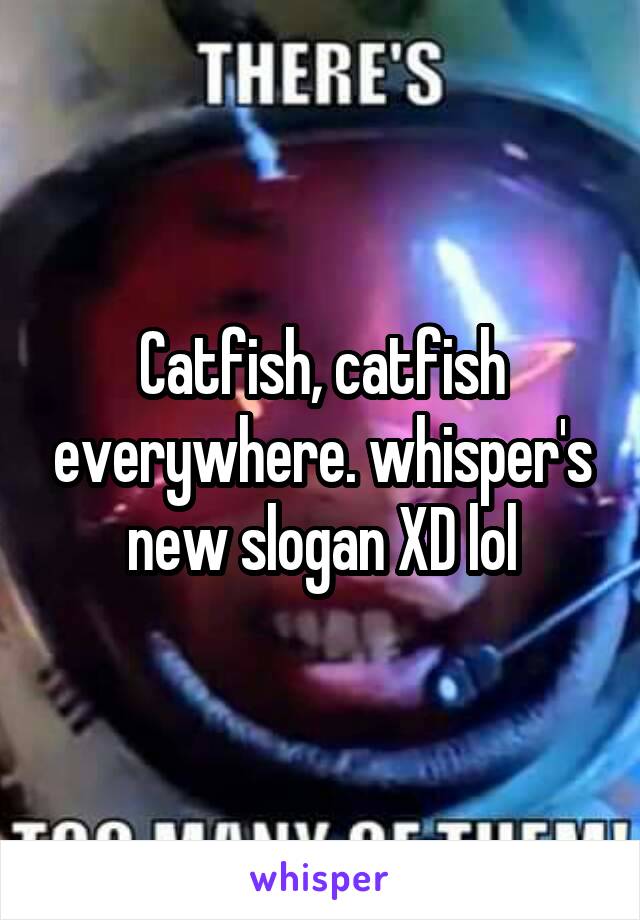 Catfish, catfish everywhere. whisper's new slogan XD lol