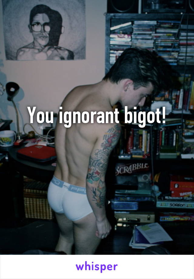 You ignorant bigot!

