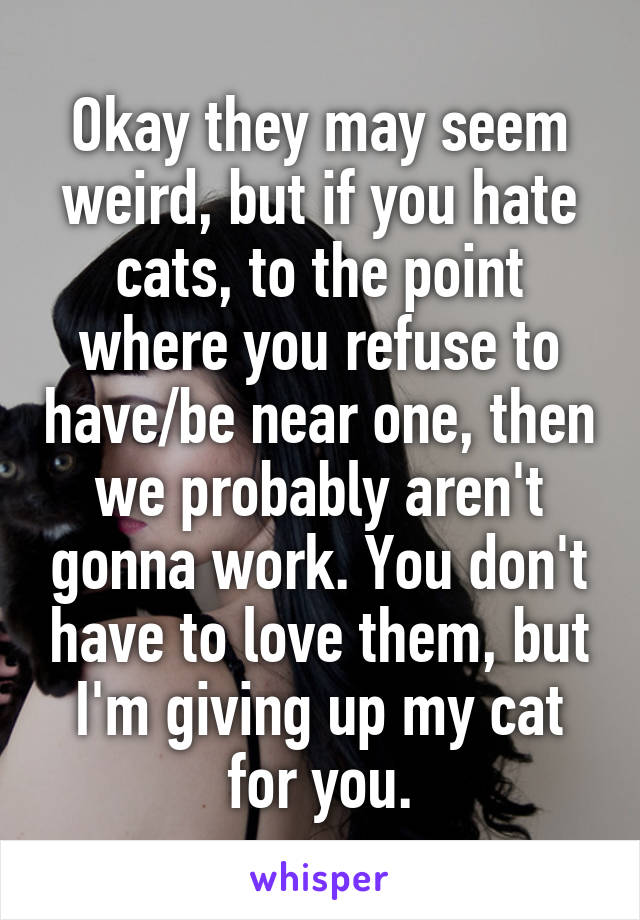 Okay they may seem weird, but if you hate cats, to the point where you refuse to have/be near one, then we probably aren't gonna work. You don't have to love them, but I'm giving up my cat for you.