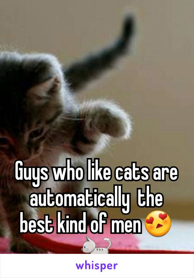 Guys who like cats are automatically  the best kind of men😍🐈