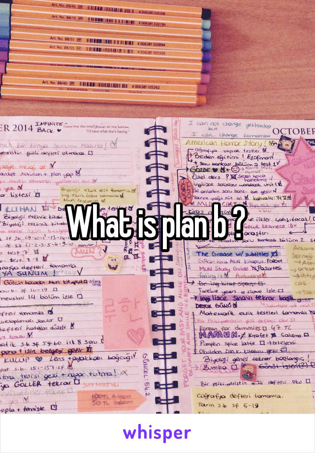 What is plan b ? 