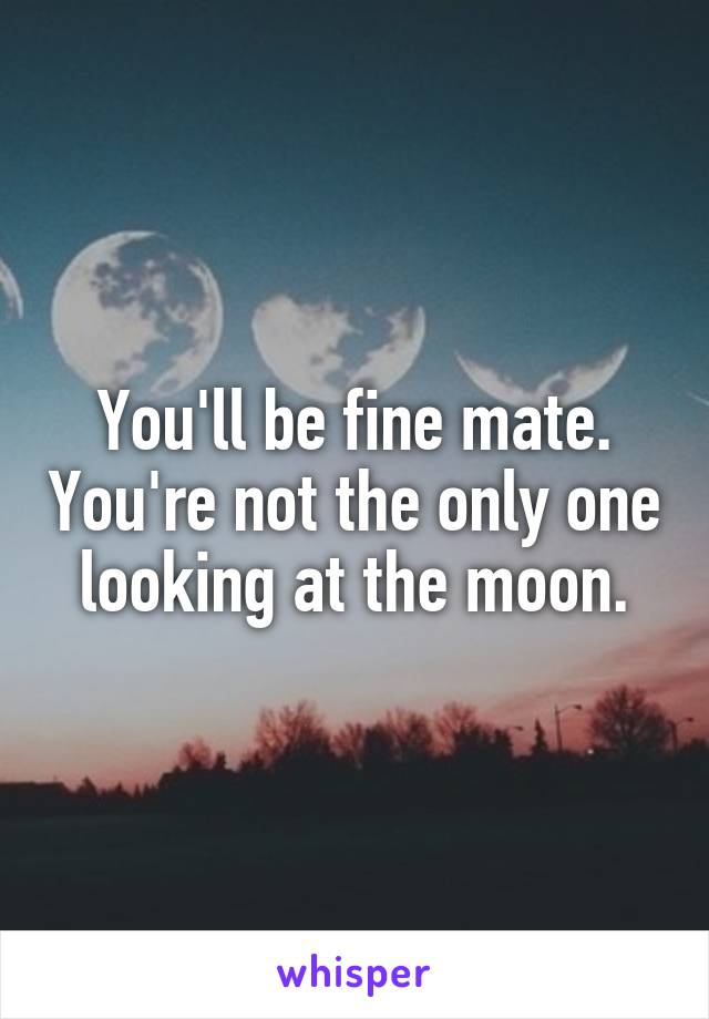 You'll be fine mate. You're not the only one looking at the moon.