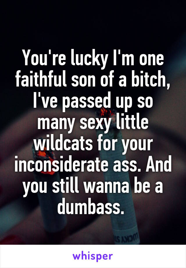 You're lucky I'm one faithful son of a bitch, I've passed up so many sexy little wildcats for your inconsiderate ass. And you still wanna be a dumbass. 