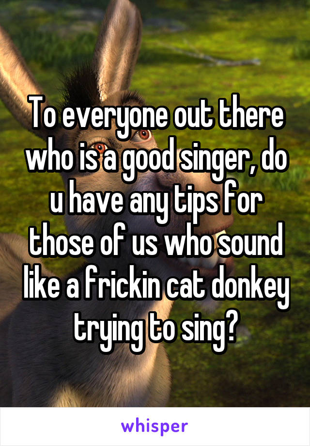 To everyone out there who is a good singer, do u have any tips for those of us who sound like a frickin cat donkey trying to sing?