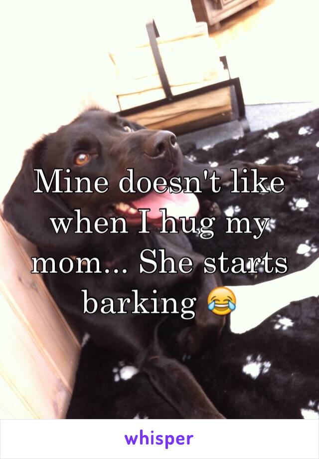 Mine doesn't like when I hug my mom... She starts barking 😂