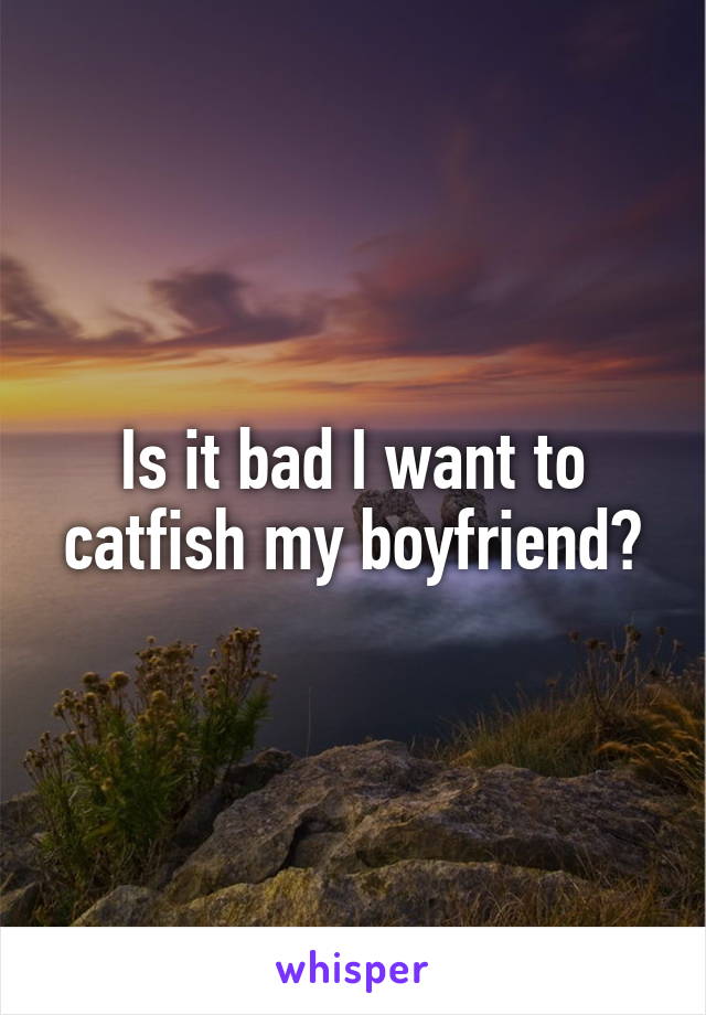 Is it bad I want to catfish my boyfriend?