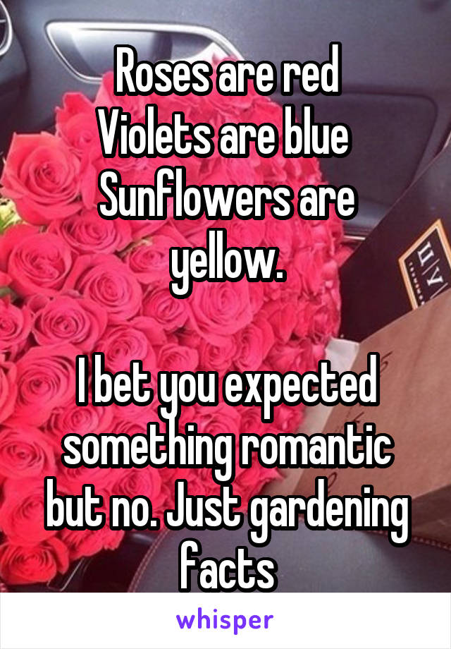 Roses are red
Violets are blue 
Sunflowers are yellow.

I bet you expected something romantic but no. Just gardening facts