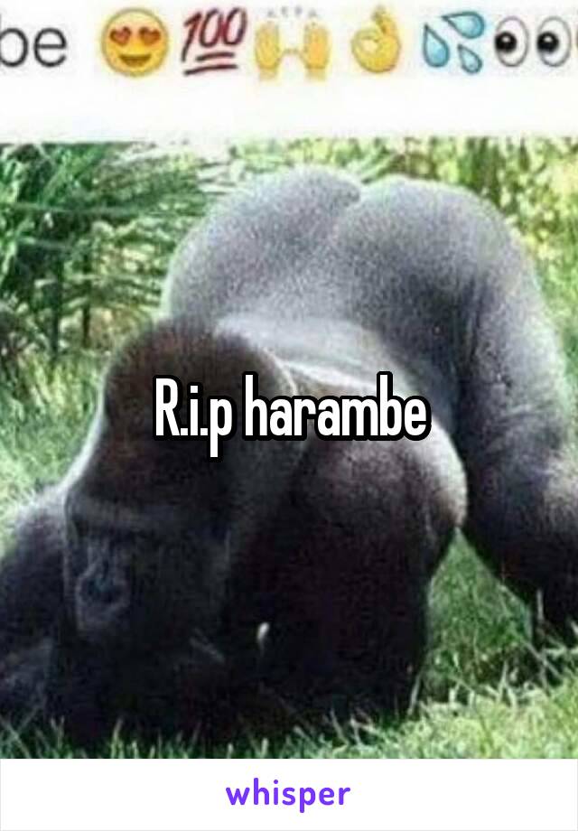 R.i.p harambe